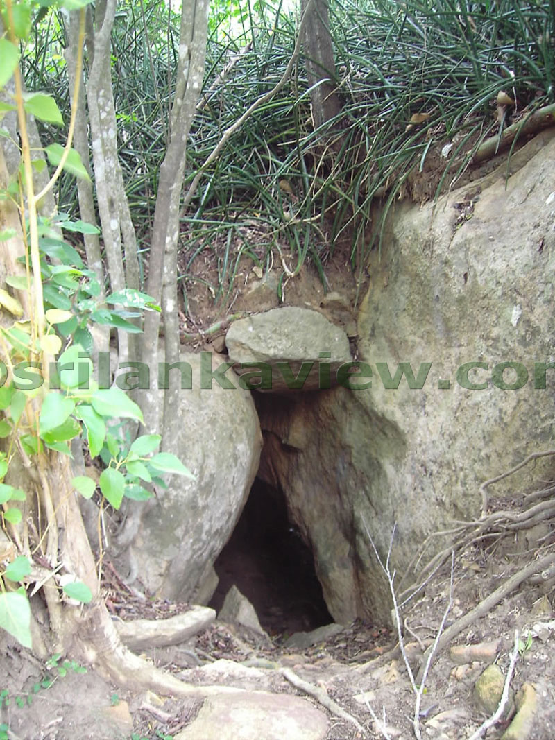 Climb to the Upper Caves from the path behind the Museum.  